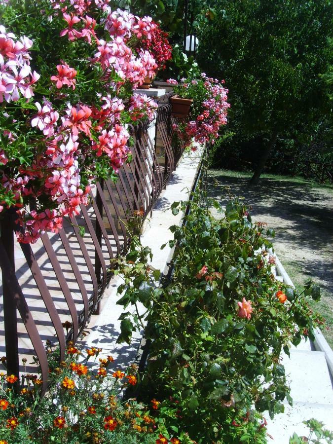 Bed and Breakfast Casa Lieta Суб'яко Екстер'єр фото